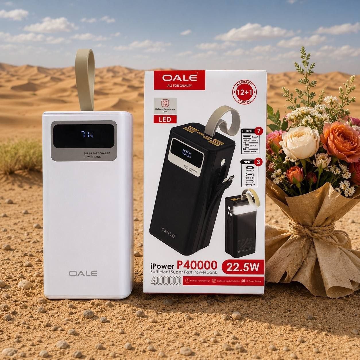 پاوربانک اورجینال 40000 OALE P40000